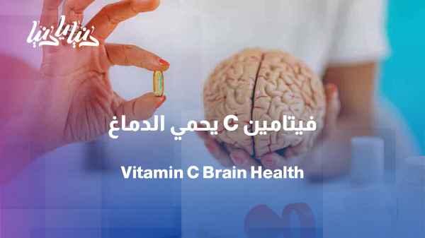 Vitamin C and the brain... Can our diet delay brain aging?