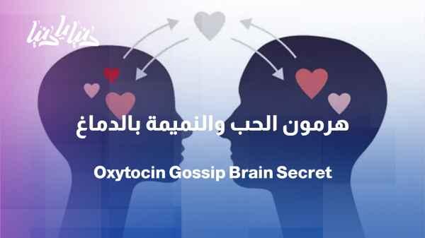 The hormone oxytocin rises during gossip... but why?