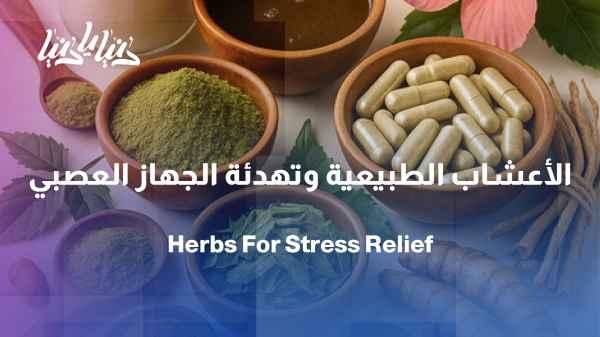Herbs and stress relief: How do they really help to soothe the nervous system?