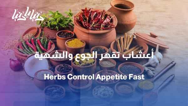 Herbs and habits that suppress hunger... Do they really help with weight loss?