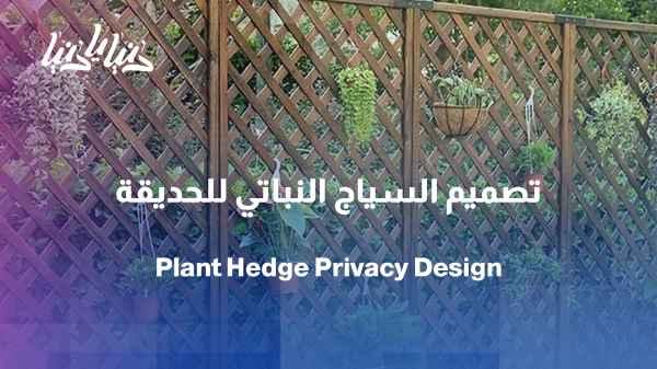 A hedge... a beautiful feature that protects the privacy of your garden.