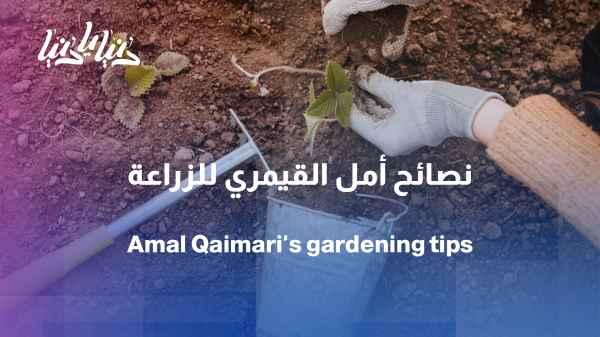 A green space on air... Engineer Amal Al-Qaimari is receiving your calls.