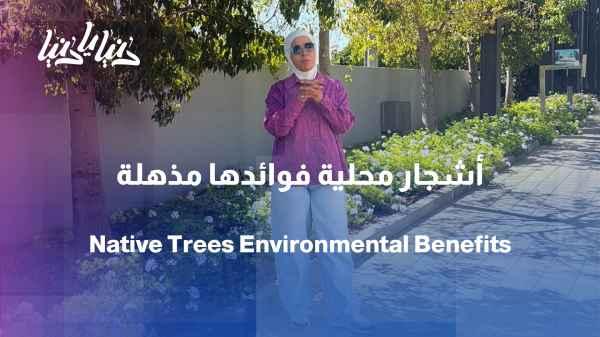 Our country's trees: 3 types worth planting and whose benefits we should know
