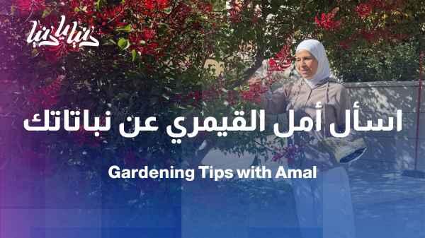 An open forum for your agricultural questions with engineer Amal Al-Qaimari