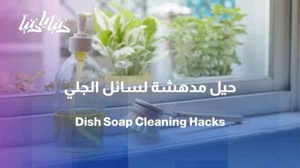 Not just for dishes...how else can we use dishwashing liquid?
