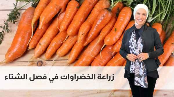 Planting vegetables in the winter