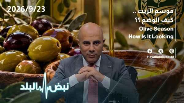 The olive season... how is the situation?