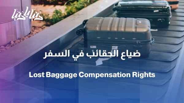 My bag was lost while traveling… Who is responsible and how can I claim my rights?