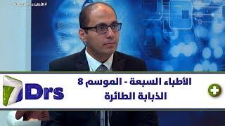 الذبابة الطائرة