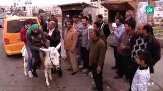 ترخيص الحمير في فلسطين